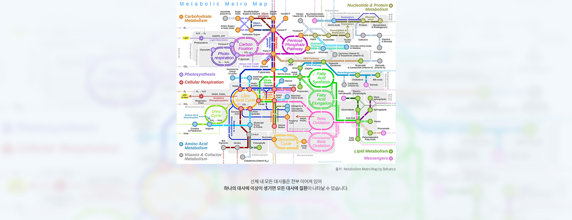 항노화/건강증진클리닉 세온내과 메트로맵 