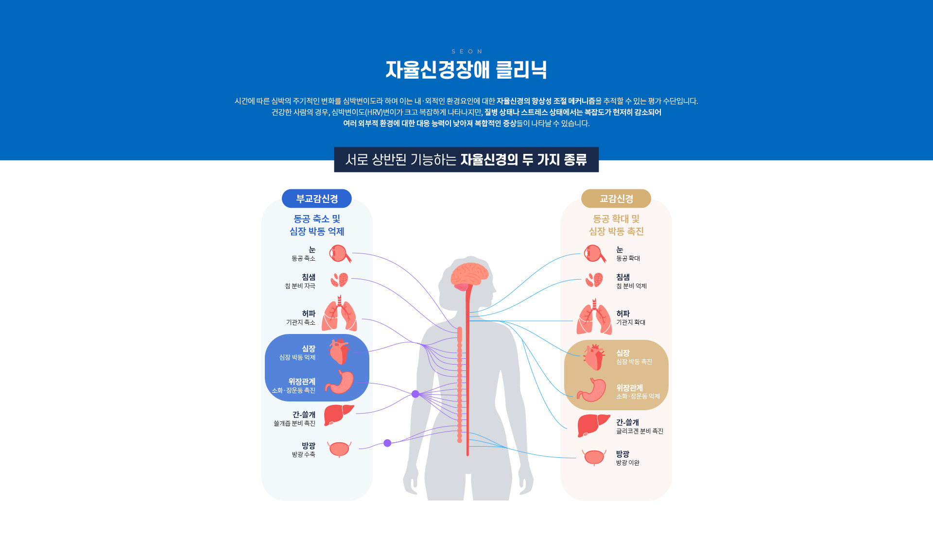 항노화/건강증진클리닉 세온내과 자율신경장애클리닉 