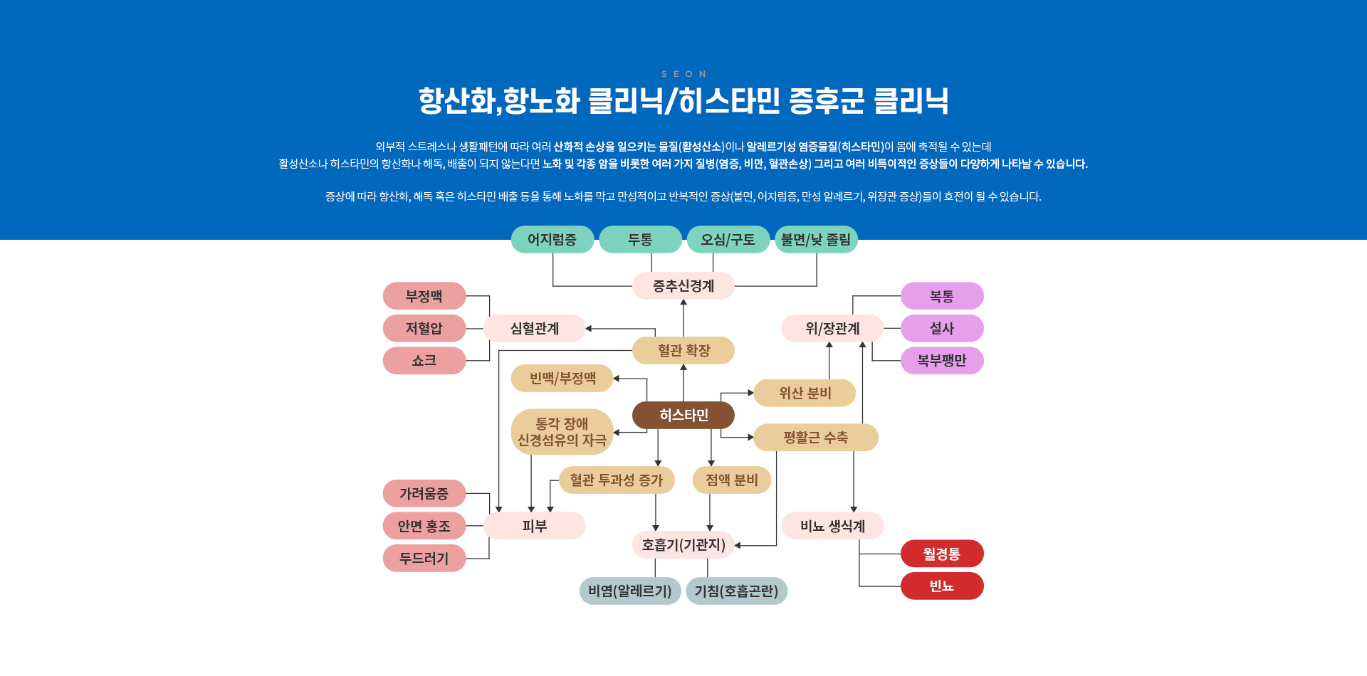 항노화/건강증진클리닉 세온내과 히스타민증후군클리닉 