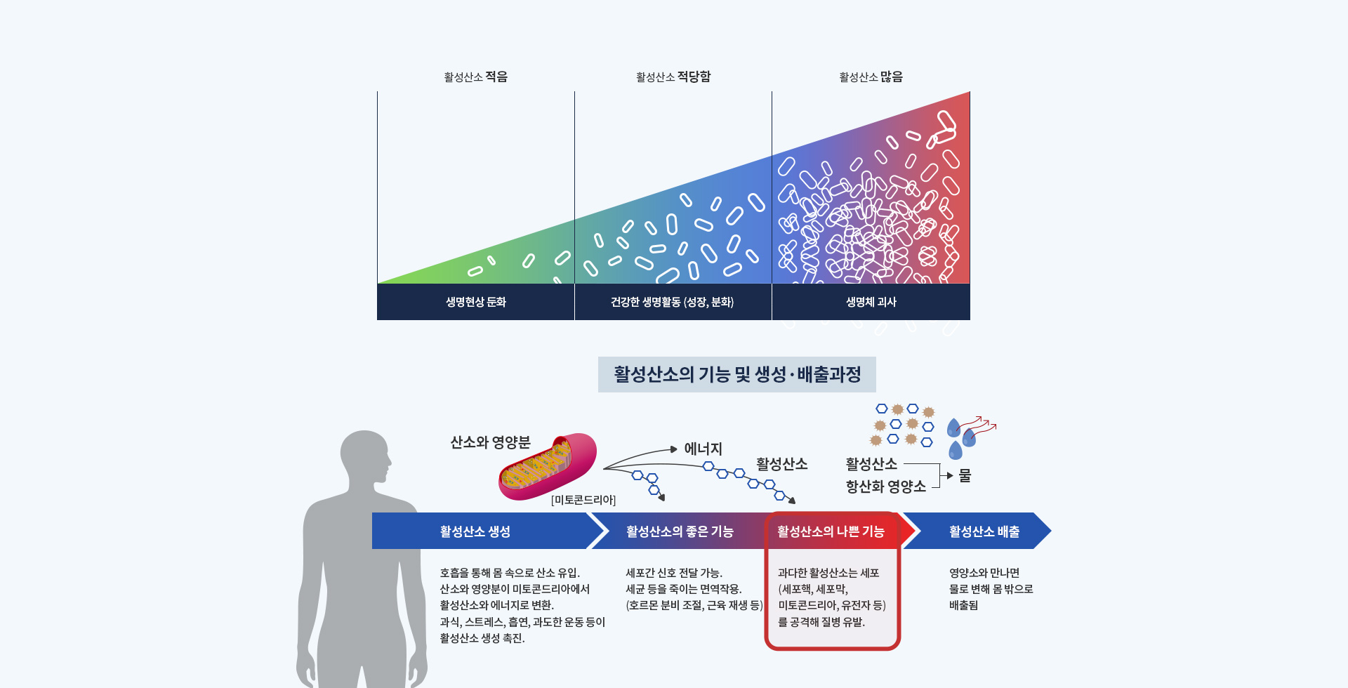 항노화/건강증진클리닉 세온내과 활성산소 