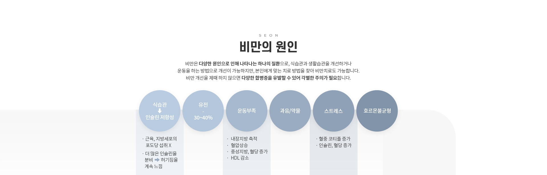 건강증진클리닉 세온내과 비만클리닉 