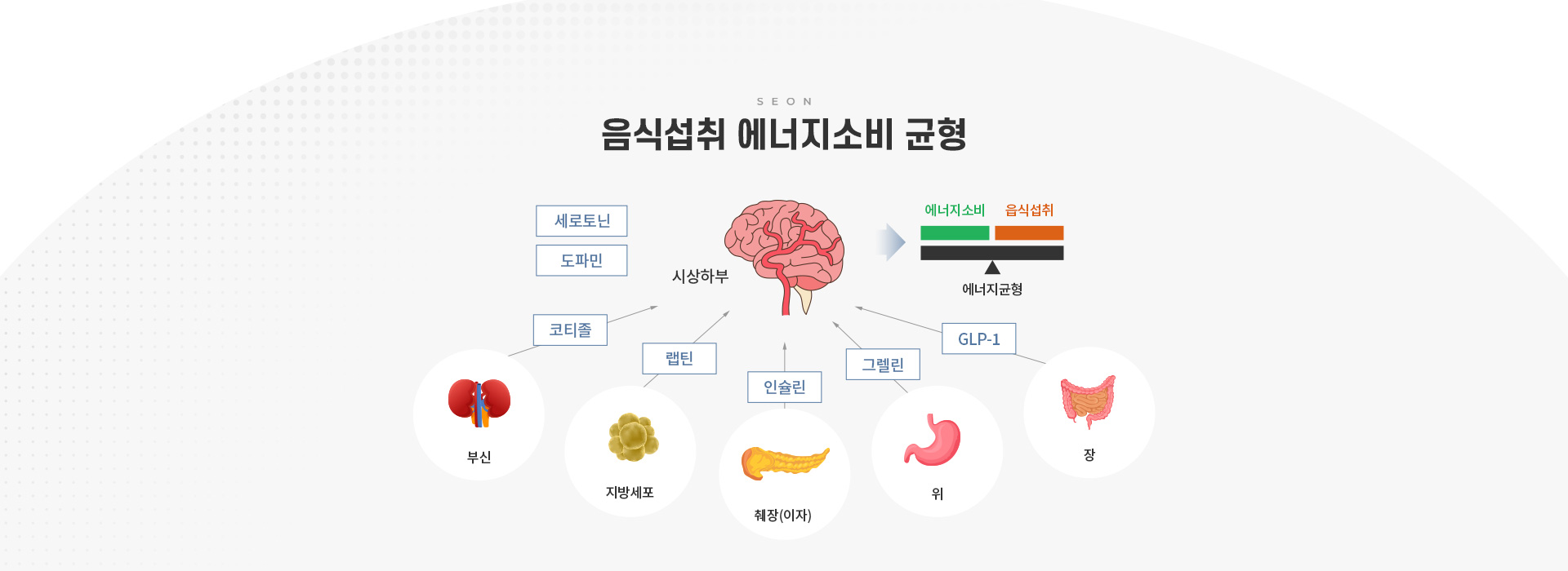 건강증진클리닉 세온내과 비만클리닉 