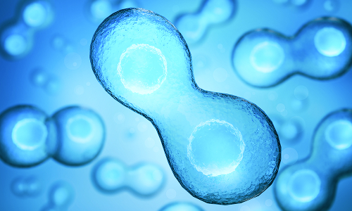 노화 역전·회복