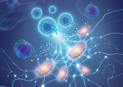 활성화된 재생신호