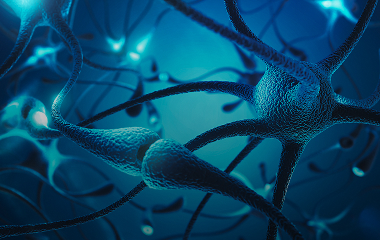 신경 재생 유도 방식