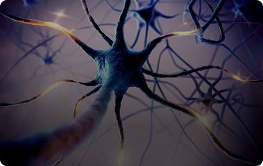 신경의압박완화