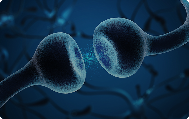 교감신경 과흥분 억제