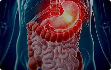 신체 장기 기능 회복